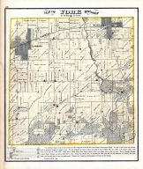 York Township, DuPage County 1874